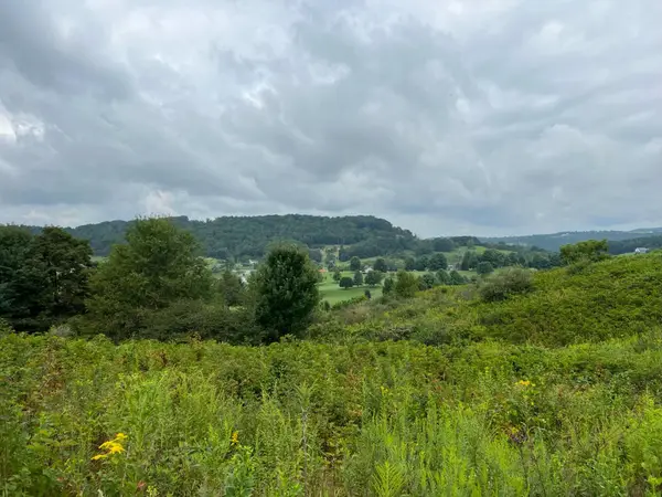 Fairway View Drive, Peterstown, WV 24963