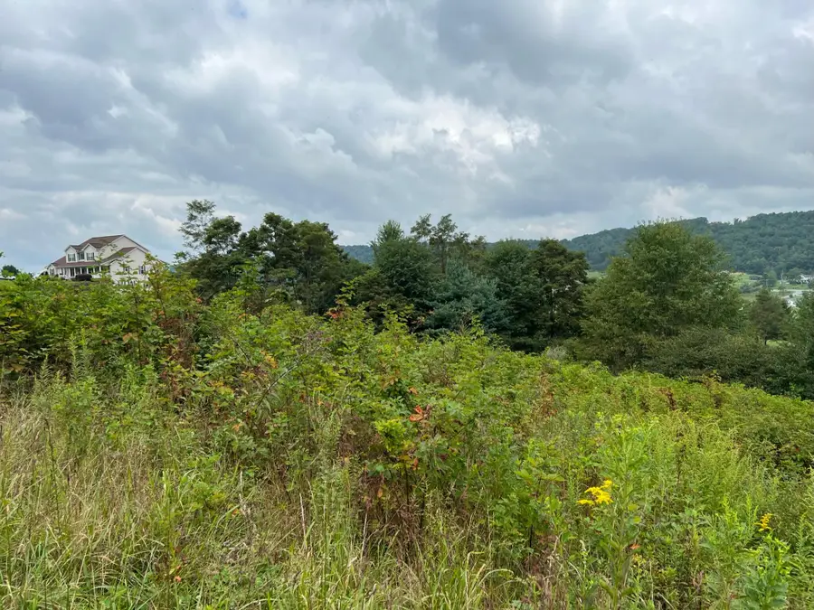 Fairway View Drive, Peterstown, WV 24963 - #2