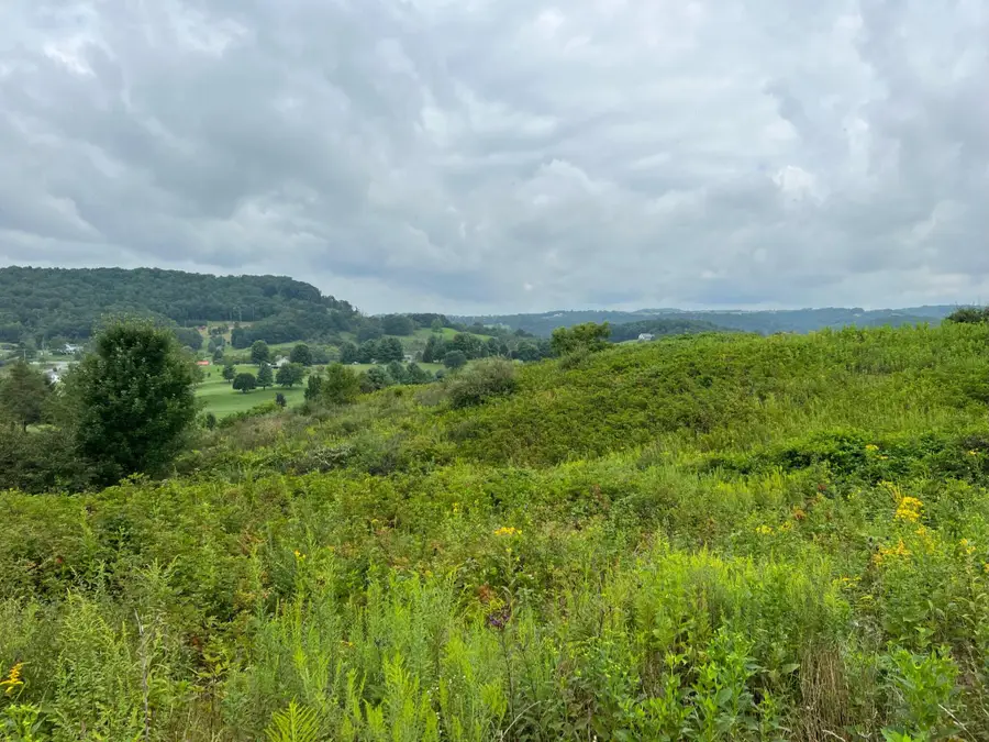 Fairway View Drive, Peterstown, WV 24963 - #3