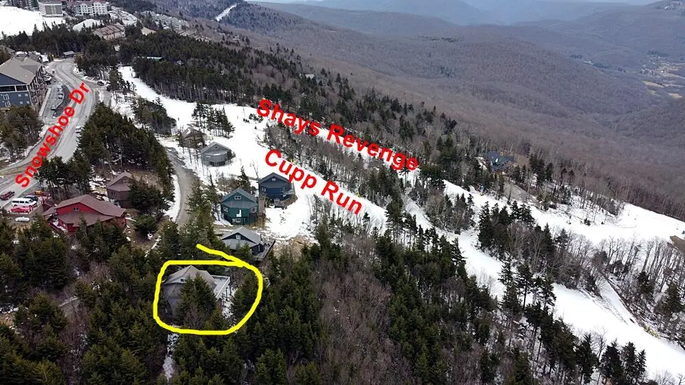 54 Sundown Dr, Snowshoe, WV 26209 - Image #1