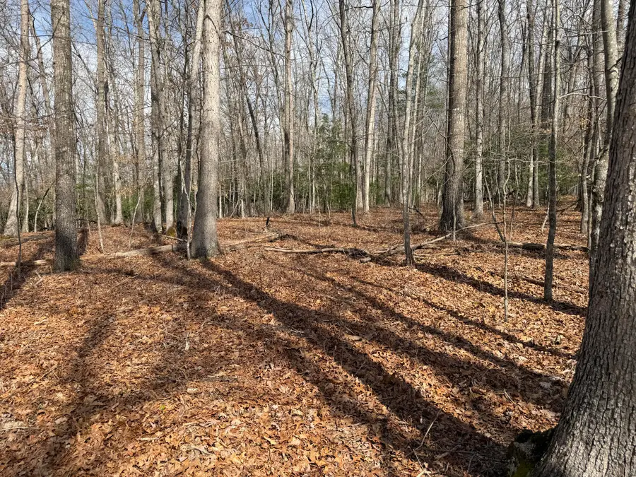 Coleman Cliff, Frankford, WV 24938 - #2