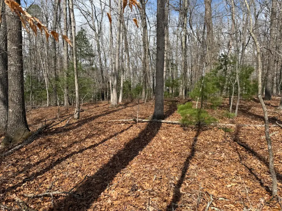 Coleman Cliff, Frankford, WV 24938 - #3