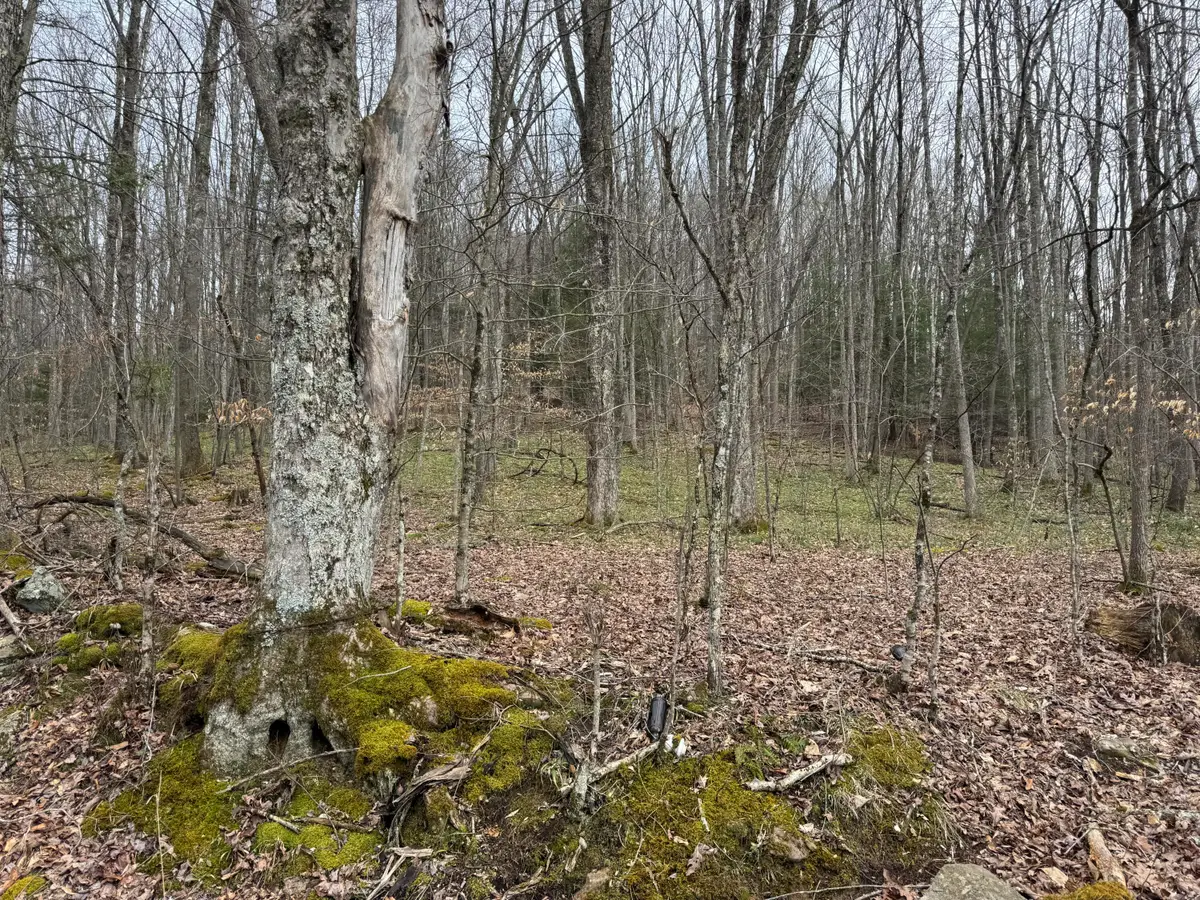 Sugar Camp Rd, Craigsville, WV 26205 - #1