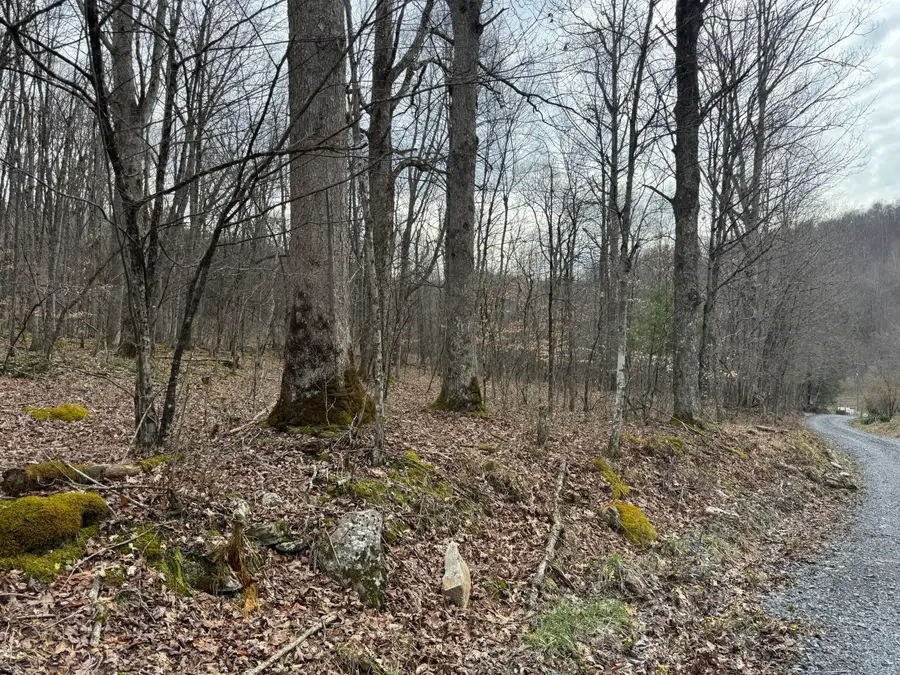 Sugar Camp Rd, Craigsville, WV 26205 - #2