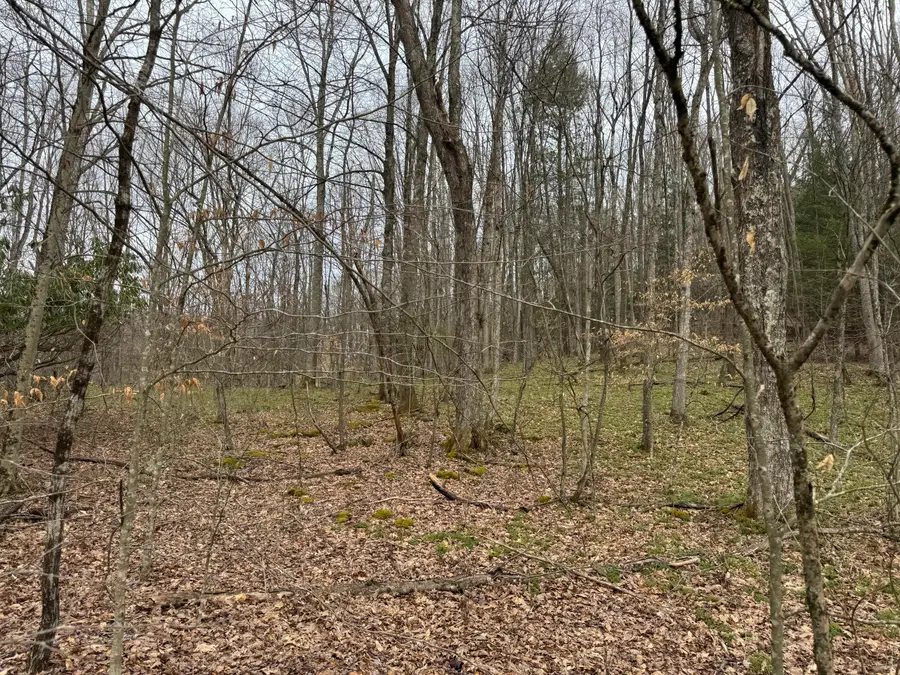 Sugar Camp Rd, Craigsville, WV 26205 - #3
