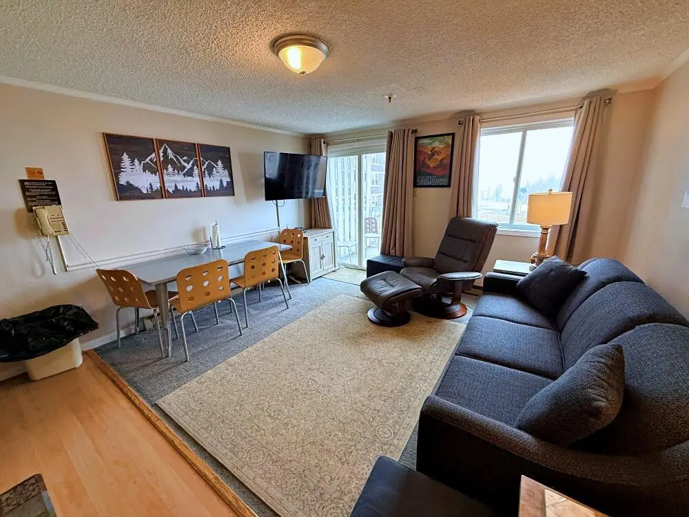 214 Mountain Lodge, Snowshoe, WV 26209 - #1