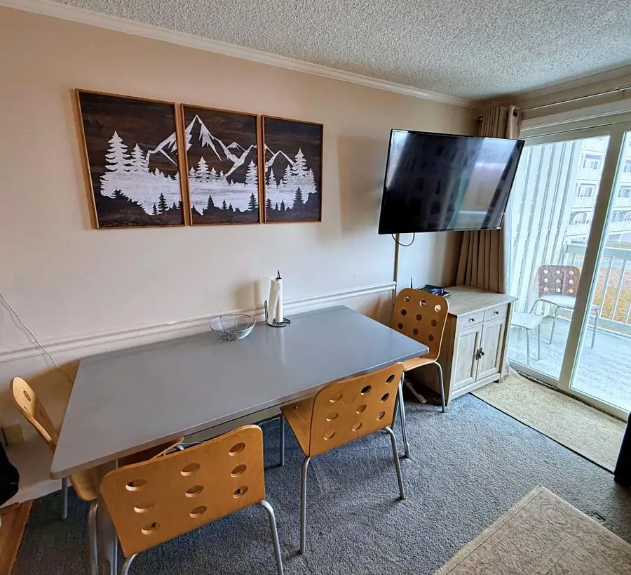 214 Mountain Lodge, Snowshoe, WV 26209 - #2