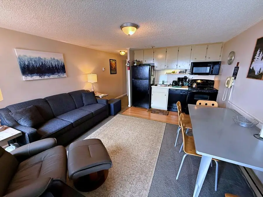 214 Mountain Lodge, Snowshoe, WV 26209 - #3