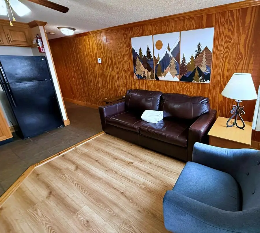 212 Mountain Lodge, Snowshoe, WV 26209 - #2