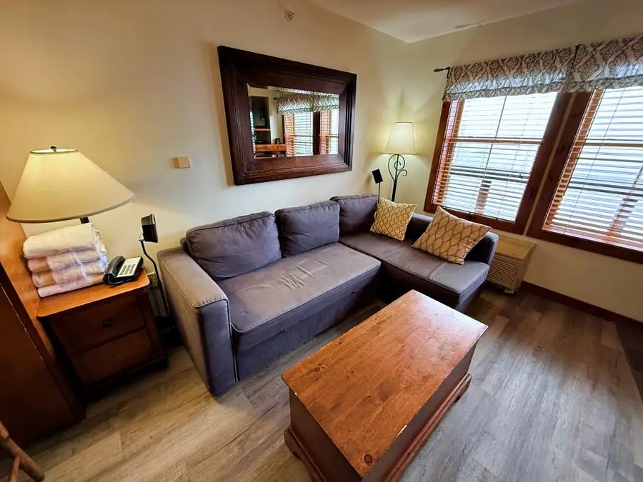 420 Rimfire, Snowshoe, WV 26209 - #2