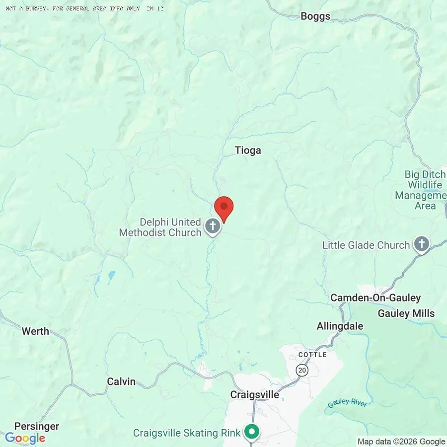 4042 Tioga Rd, Tioga, WV 26691 - #2