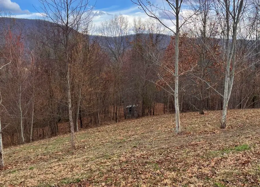 Dunkard Church Road, Peterstown, WV 24963 - #2