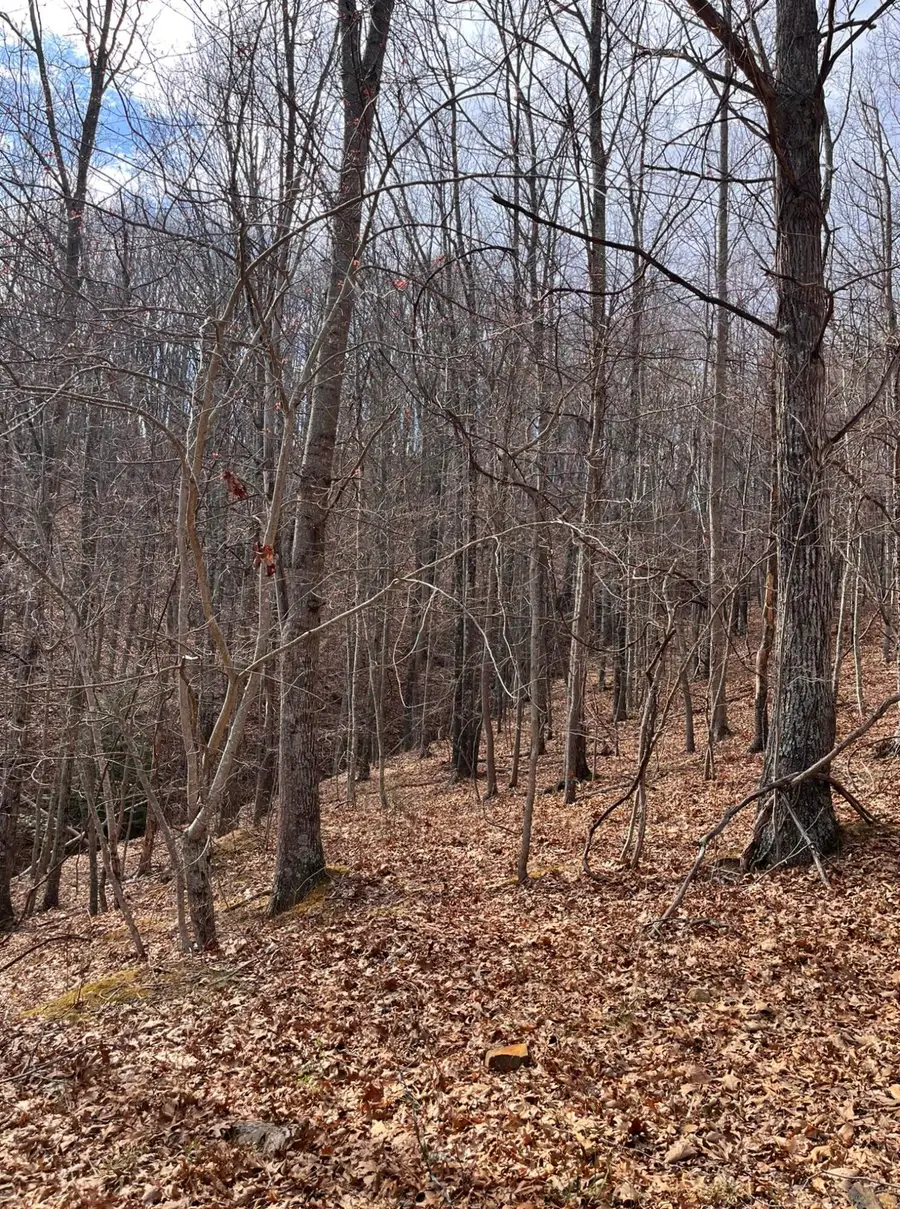 Dunkard Church Road, Peterstown, WV 24963 - #3