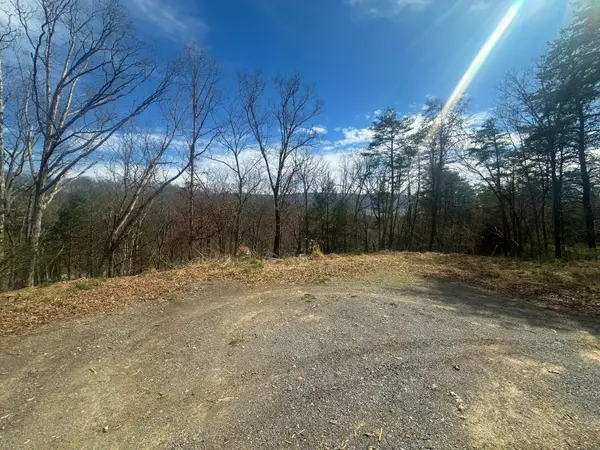 Lot 8 Mill Street, Peterstown, WV 24963