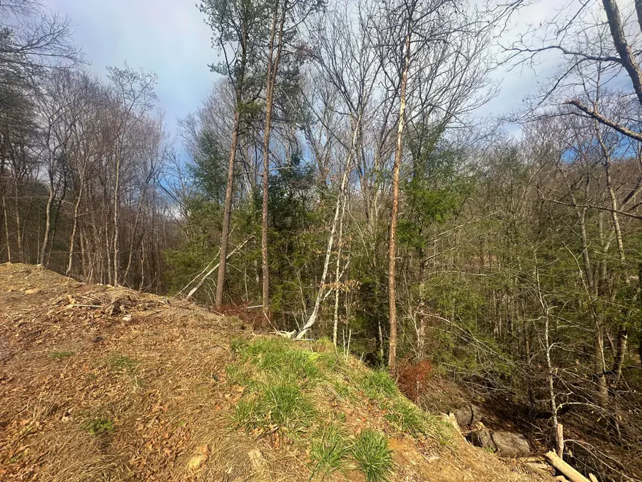 Lot 8 Mill Street, Peterstown, WV 24963 - #2