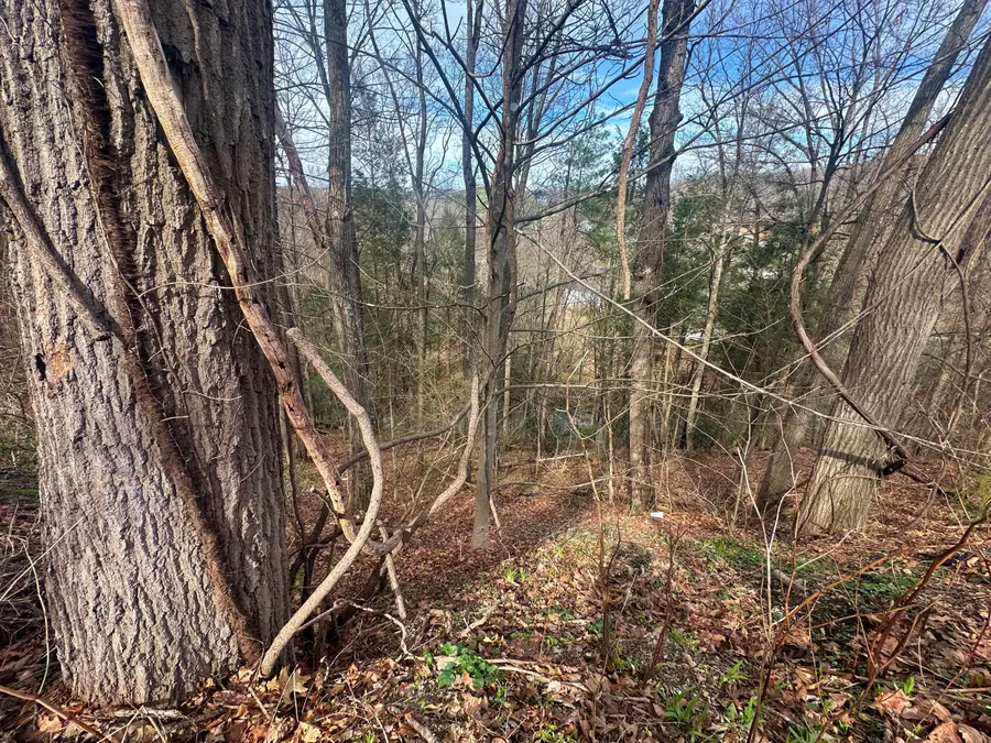 Lot 8 Mill Street, Peterstown, WV 24963 - #3