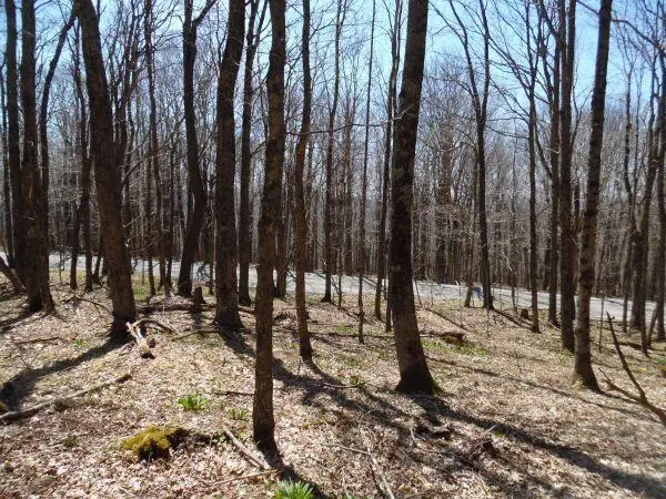 6181 Cass Road, Slatyfork, WV 26291 - #1