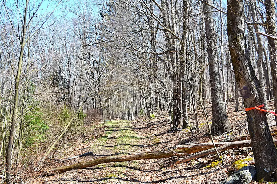 2245 Crowder, Gap Mills, WV 24941 - #2