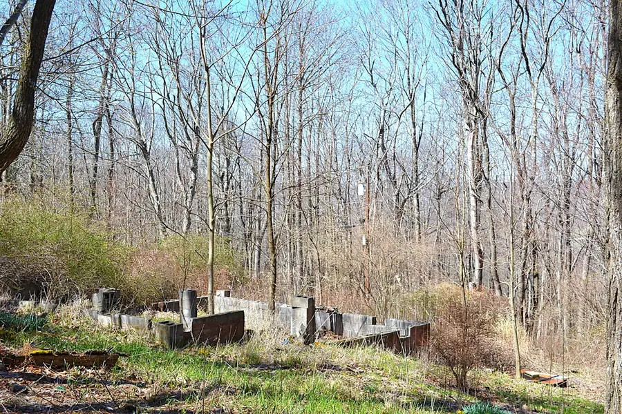 2245 Crowder, Gap Mills, WV 24941 - #3