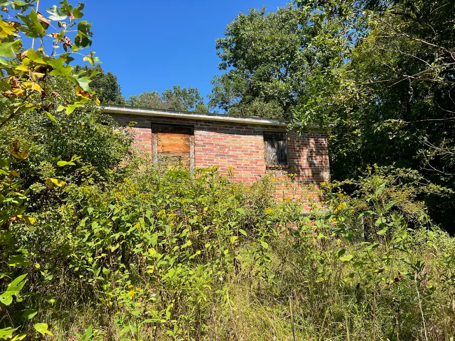 Hamilton Ridge, Alderson, WV 24910 - #3