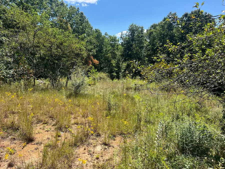 Hamilton Ridge Road, Alderson, WV 24910 - #3