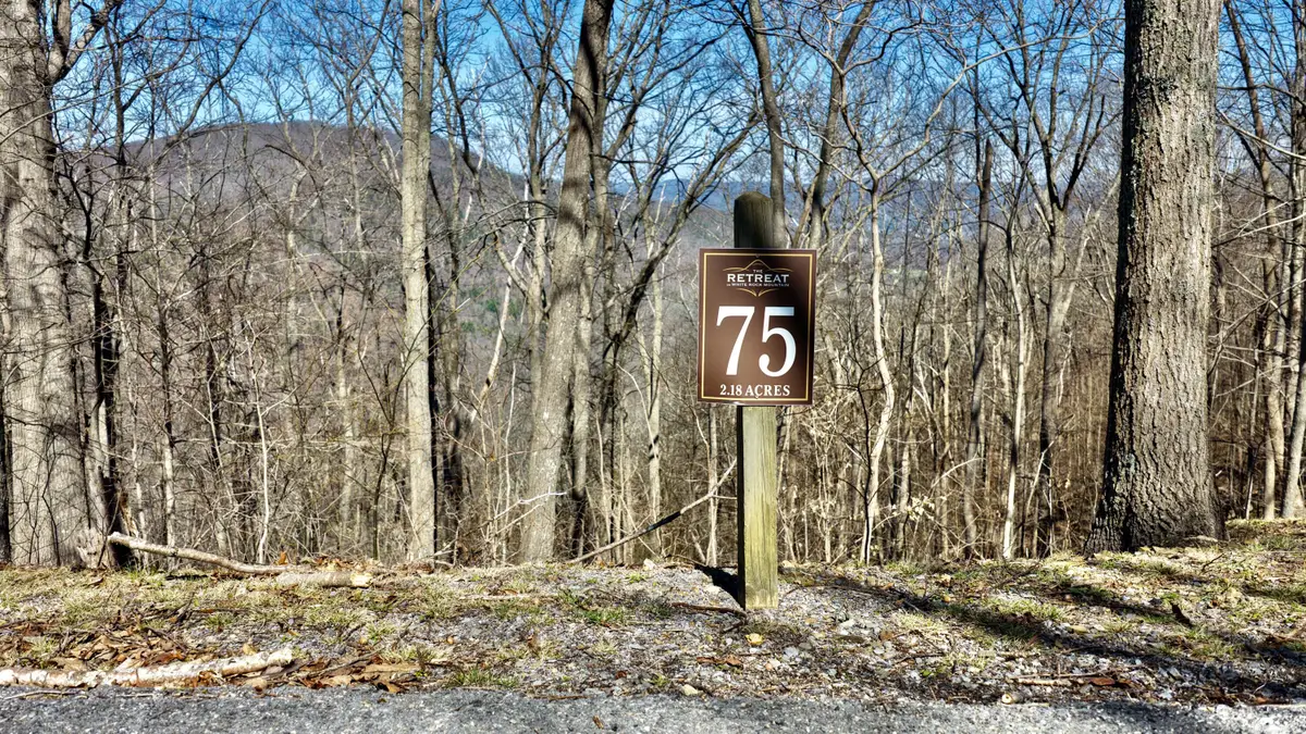 Lot #75 White Rock Trail, Caldwell, WV 24925 - #1