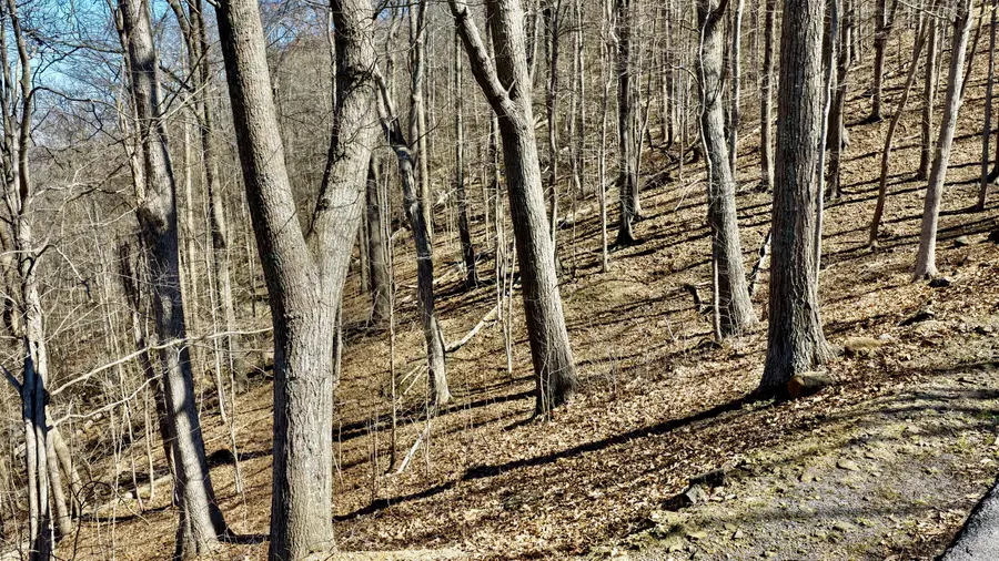 Lot #75 White Rock Trail, Caldwell, WV 24925 - #2