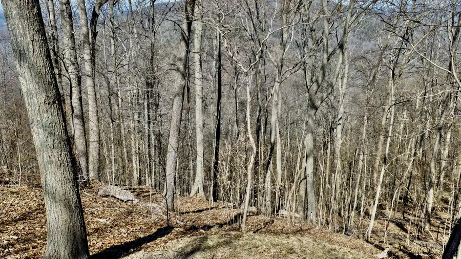 Lot #75 White Rock Trail, Caldwell, WV 24925 - #3