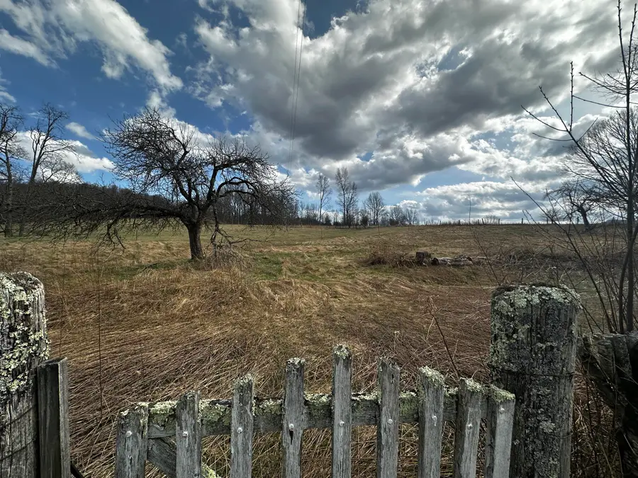 460 Woodrow Branch Rd, Marlinton, WV 24954 - #2