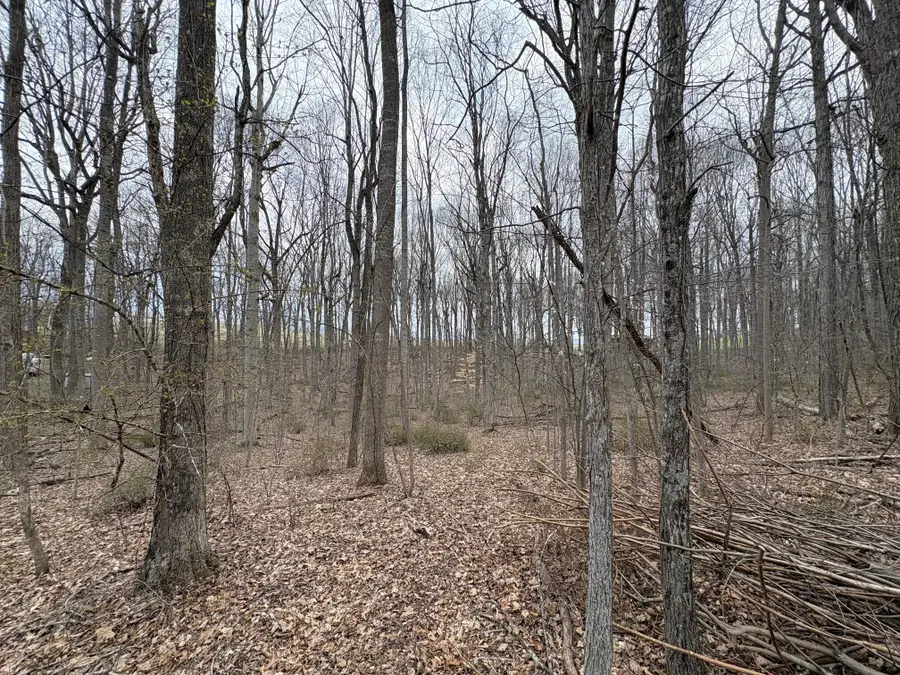 Woodland Drive, Lewisburg, WV 24901 - #3