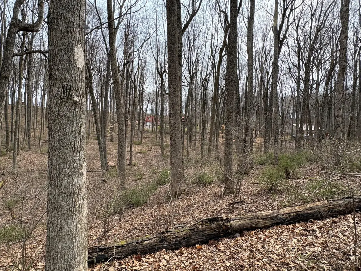 Lot 57,58 Woodland Drive, Lewisburg, WV 24901 - #1