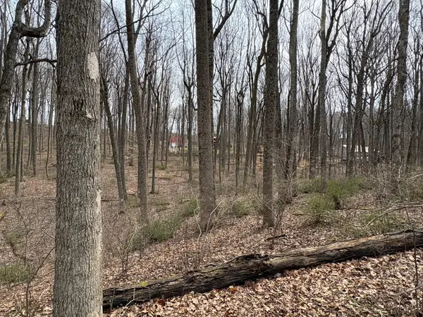 Lot 57,58 Woodland Drive, Lewisburg, WV 24901