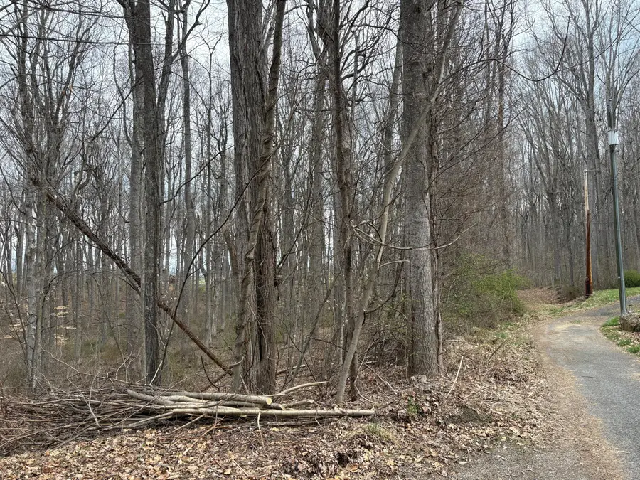 Lot 57,58 Woodland Drive, Lewisburg, WV 24901 - #2