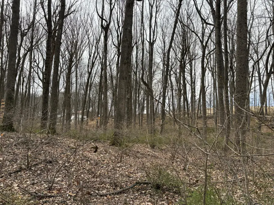 Lot 57,58 Woodland Drive, Lewisburg, WV 24901 - #3