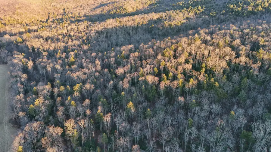 144+/- Ac Moncove Lake Road, Gap Mills, WV 24941 - Image #3