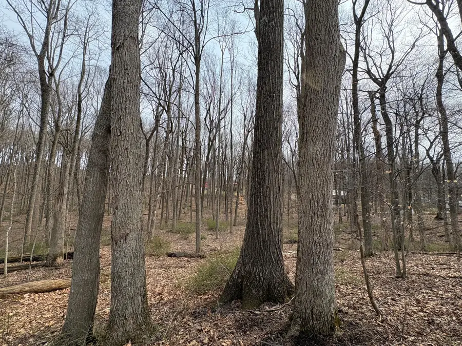 4 Lots Woodland Drive, Lewisburg, WV 24901 - #3