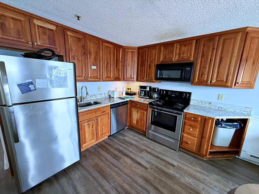 343-345 Mountain Lodge, Snowshoe, WV 26209 - #3