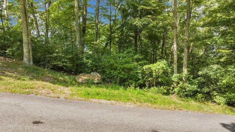 Lot 17 Wildwood Ridge, Caldwell, WV 24925 - #2