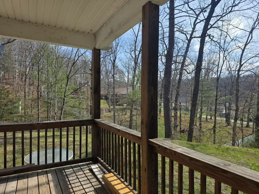 137 King Henry Cir, White Sulphur Springs, WV 24986 - #3