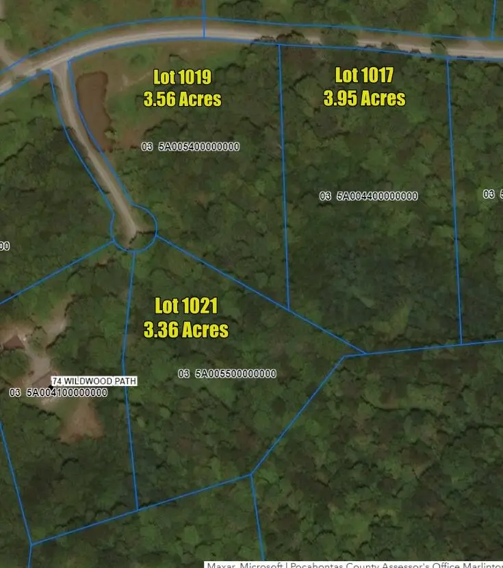 1017-1021 Sunset Mountain Village, Slatyfork, WV 26291 - #2