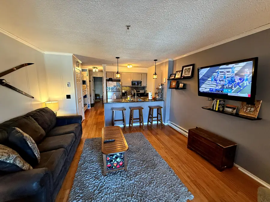 110 A Snowcrest, Snowshoe, WV 26209 - Image #2