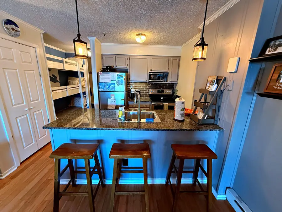 110 A Snowcrest, Snowshoe, WV 26209 - Image #3