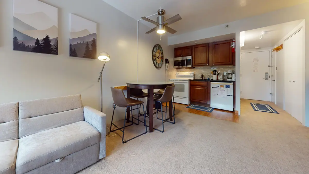 #1117 Silver Creek Road, Snowshoe, WV 26209 - #1