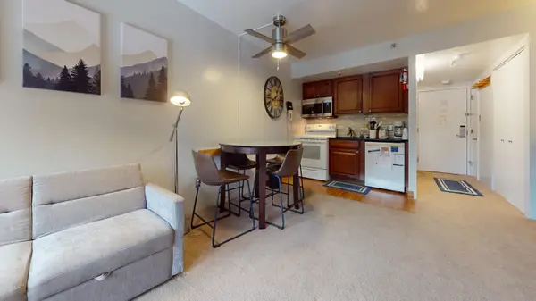 #1117 Silver Creek Road, Snowshoe, WV 26209