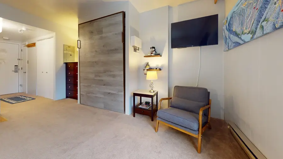 #1117 Silver Creek Road, Snowshoe, WV 26209 - #3