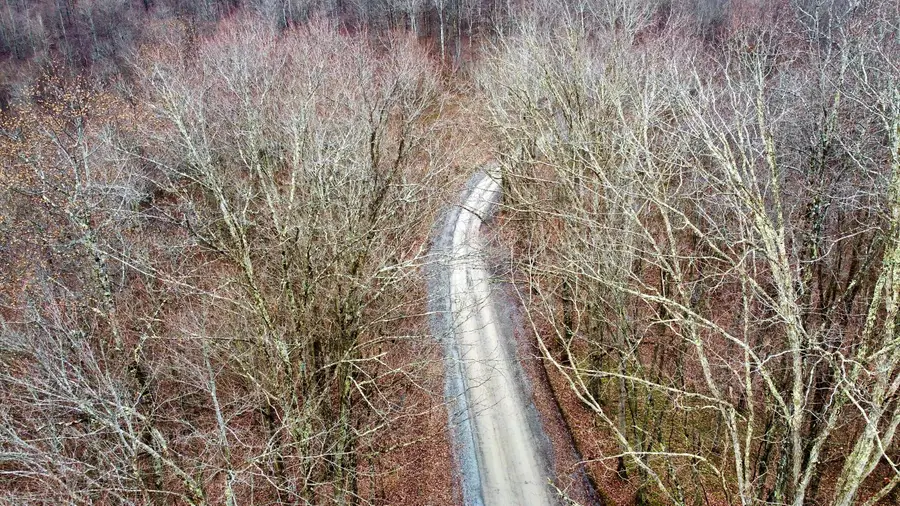 Russellville Rd, Quinwood, WV 25981 - Image #2