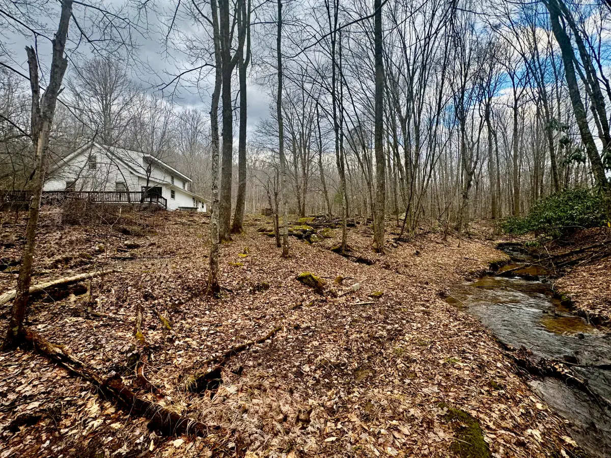 4336 Grassy Creek Rd, Leivasy, WV 26676 - #1