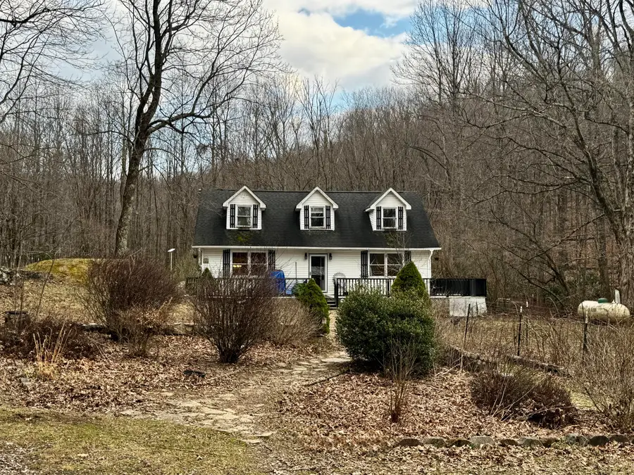 4336 Grassy Creek Rd, Leivasy, WV 26676 - #3