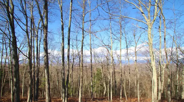 Lot 21 Wildwood Rdg, Caldwell, WV 24925