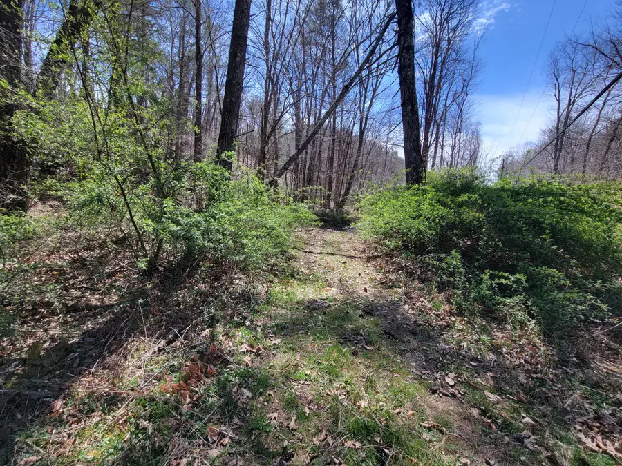 Tuckahoe Rd, White Sulphur Springs, WV 24986 - #2